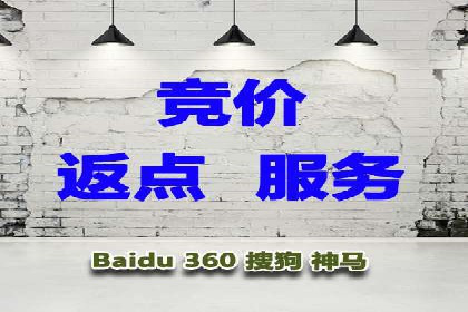 SEM搜索引擎优化策略解析与应用案例